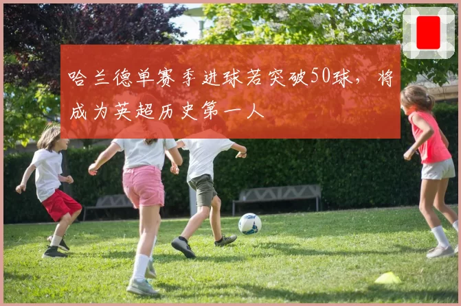 哈兰德单赛季进球若突破50球，将成为英超历史第一人