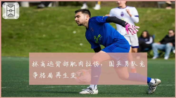 林高远背部肌肉拉伤,国乒男队竞争格局再生变