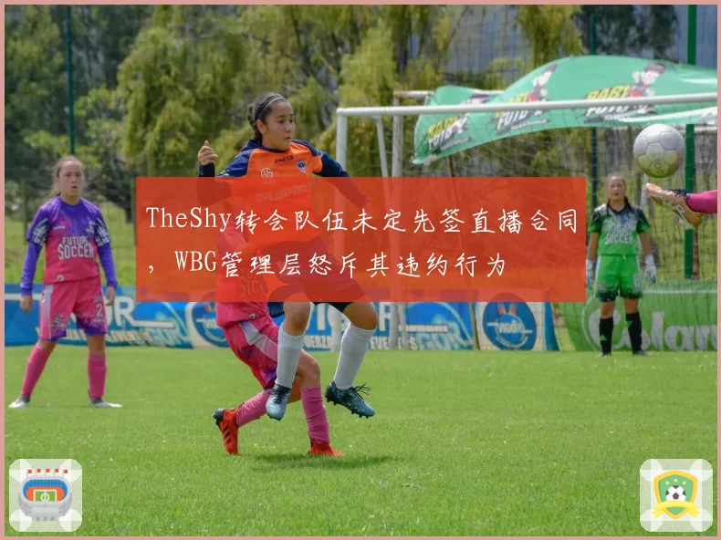 TheShy转会队伍未定先签直播合同,WBG管理层怒斥其违约行为